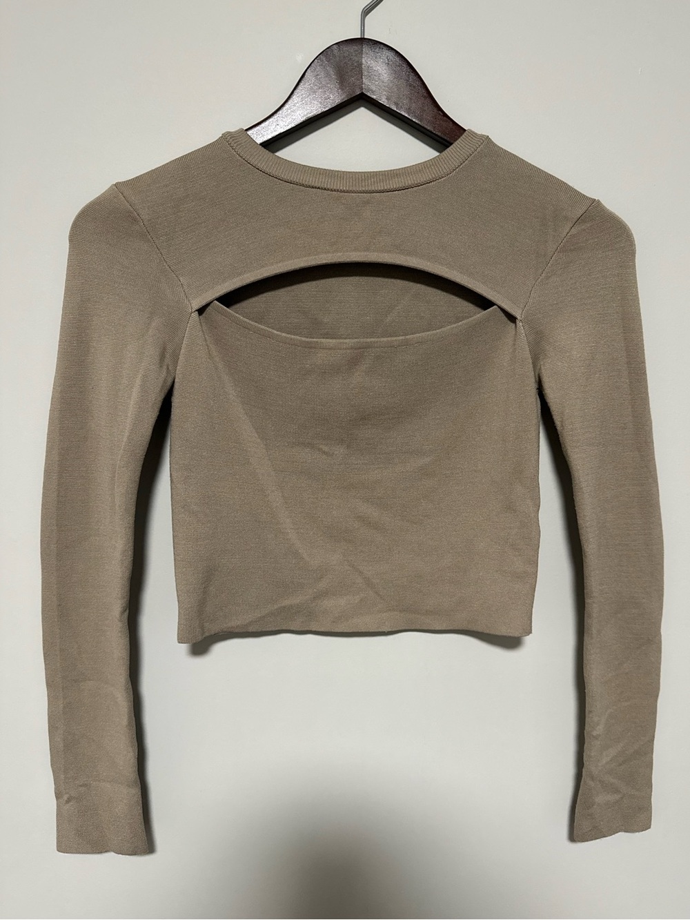 Zara Taupe Long-Sleeve Open-Back Crop Top